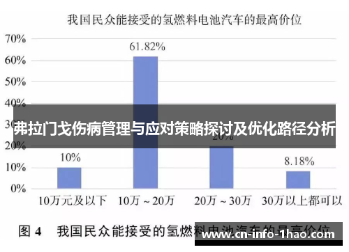 弗拉门戈伤病管理与应对策略探讨及优化路径分析