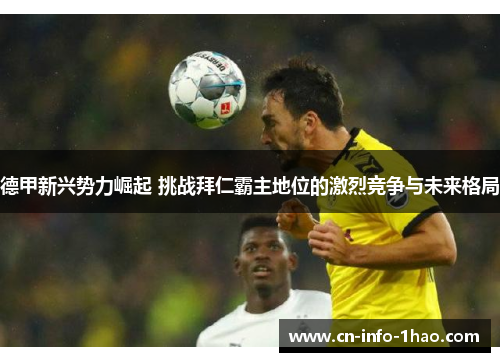 德甲新兴势力崛起 挑战拜仁霸主地位的激烈竞争与未来格局