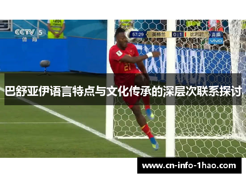 巴舒亚伊语言特点与文化传承的深层次联系探讨