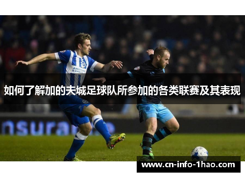 如何了解加的夫城足球队所参加的各类联赛及其表现 如何了解加的夫城足球队所参加的各类联赛及其表现