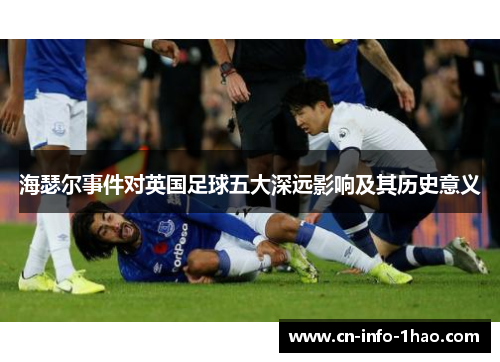 海瑟尔事件对英国足球五大深远影响及其历史意义