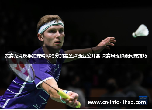 安赛龙凭反手抽球精彩得分加冕圣卢西亚公开赛 决赛展现顶级网球技巧 安赛龙凭反手抽球精彩得分加冕圣卢西亚公开赛 决赛展现顶级网球技巧