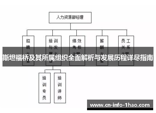 斯坦福桥及其所属组织全面解析与发展历程详尽指南 斯坦福桥及其所属组织全面解析与发展历程详尽指南