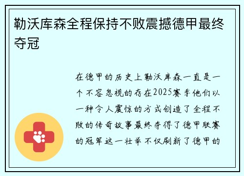 勒沃库森全程保持不败震撼德甲最终夺冠
